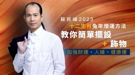 蛇形飾物|蘇民峰2023十二生肖兔年增運方法｜加強財運、人緣、健康